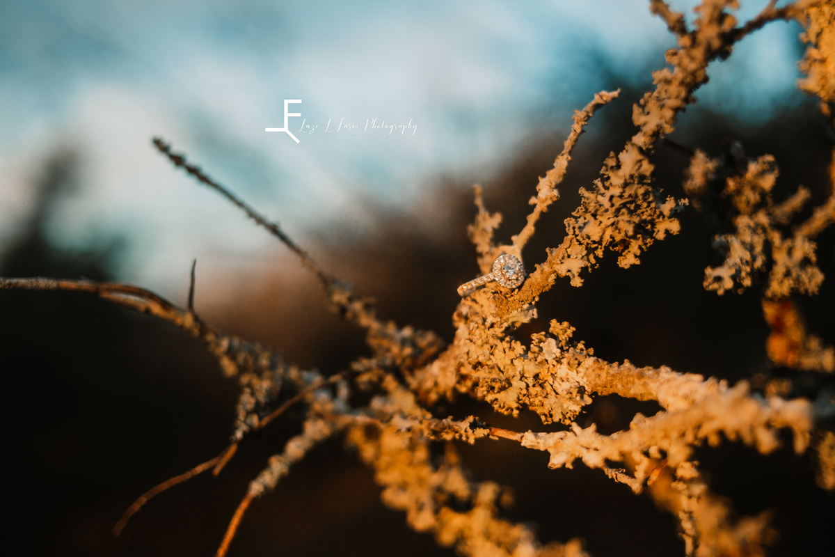 Laze L Farm Photography | Engagement  | Taylorsville NC | detail shot of the ring