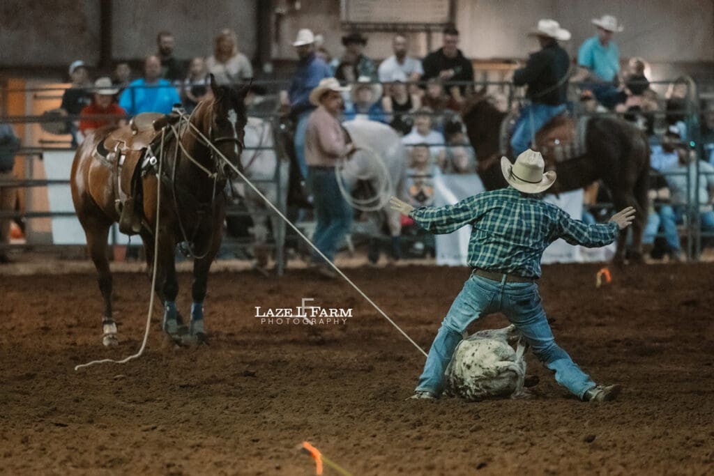 tie down roping