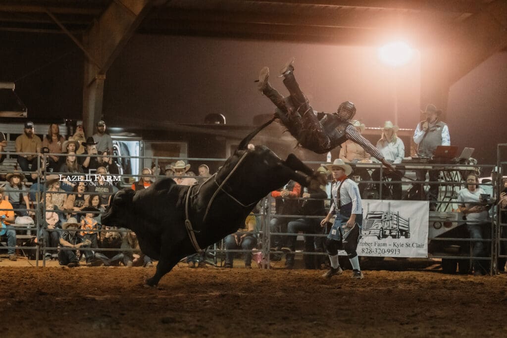 bull riding