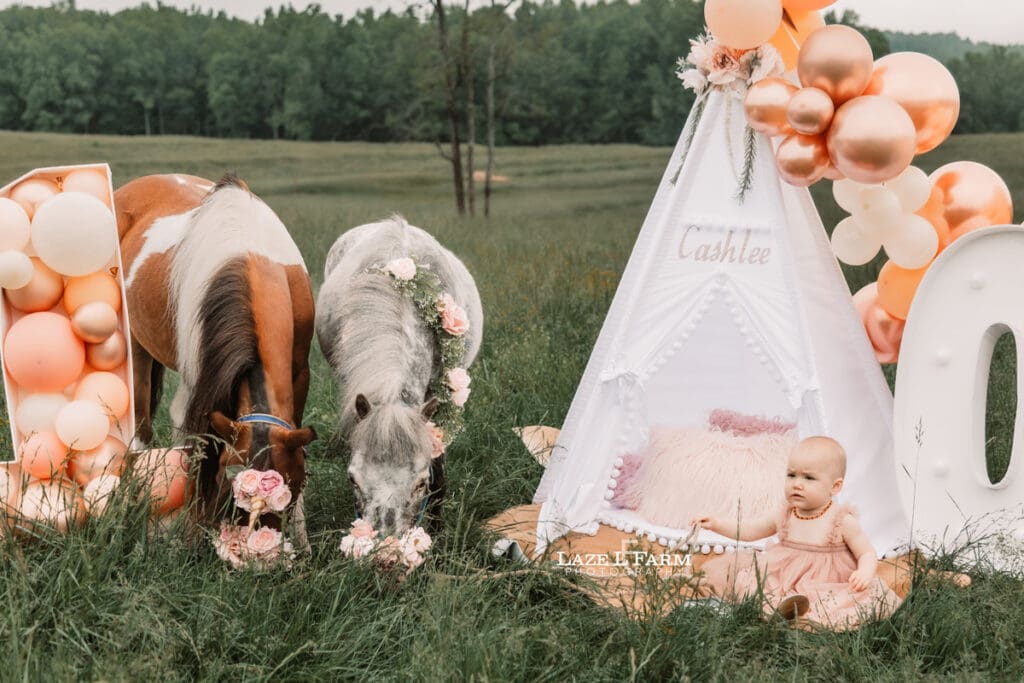 ponies with a little girl for her 1st birthday photoshoot