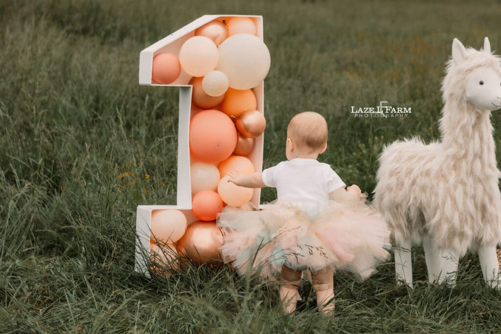 a little girl wearing a dress for her 1st birthday photoshoot