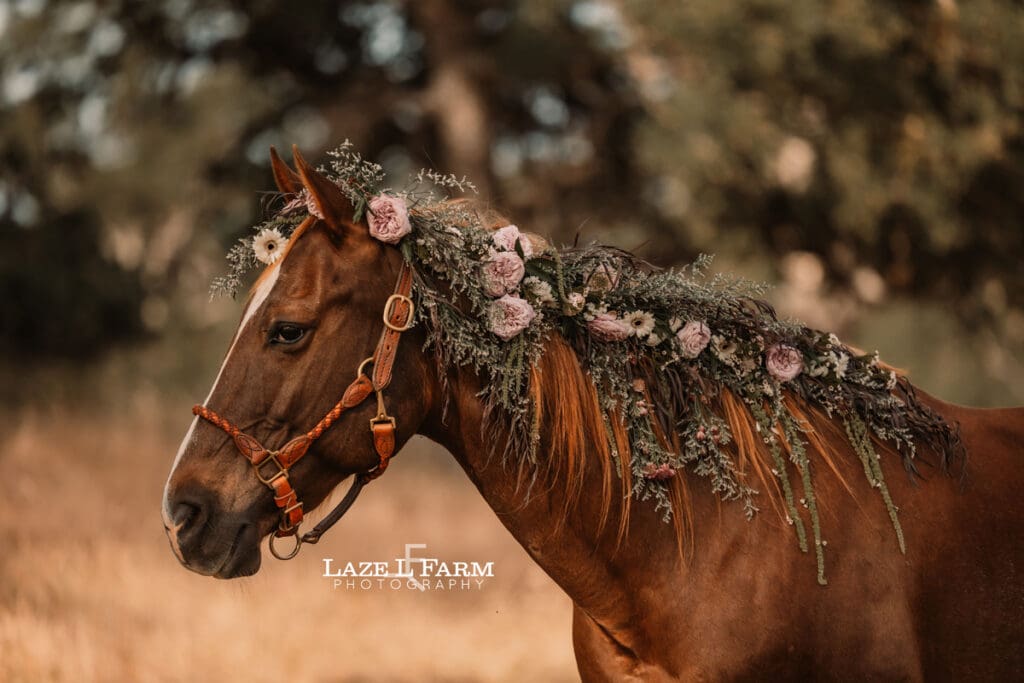 horse with purple flowers in its mane