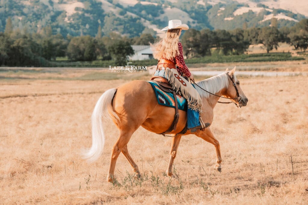 cowgirl trotting her horse in a field