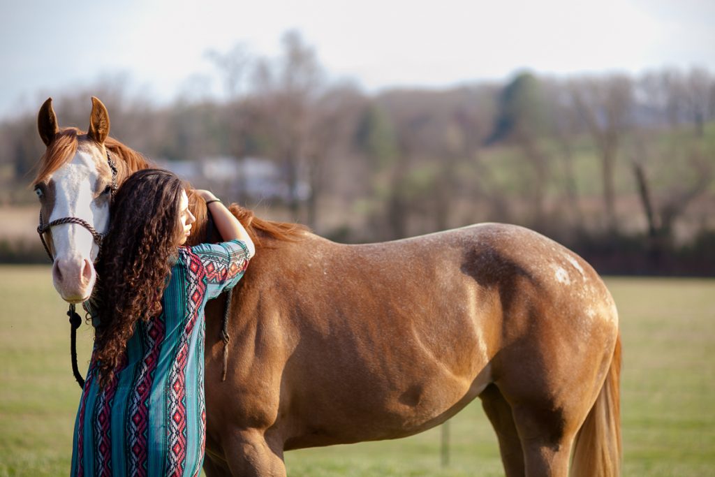 horse and rider