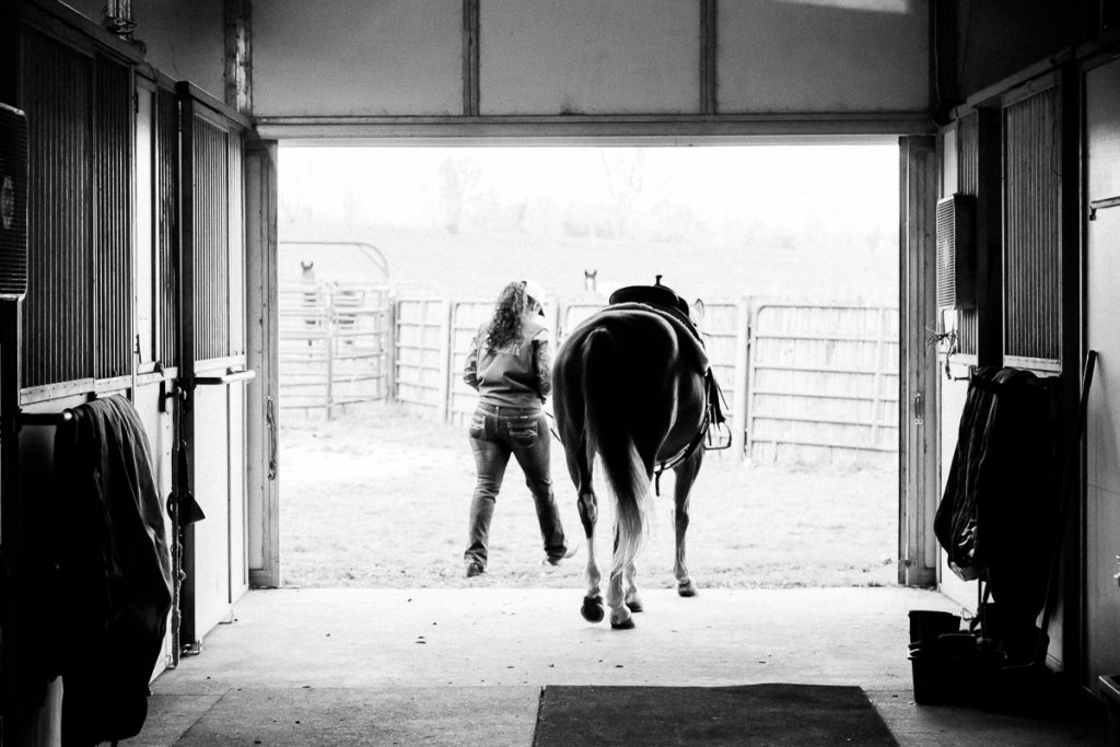 horse getting saddle