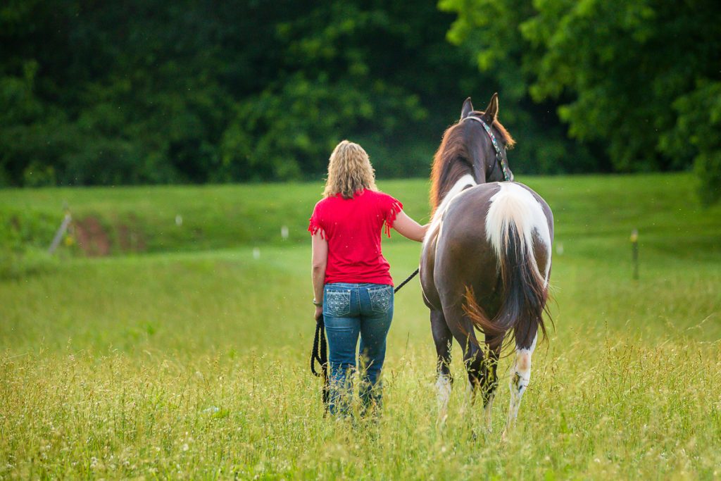 Laze L Farm Photography | Equine Portraits 