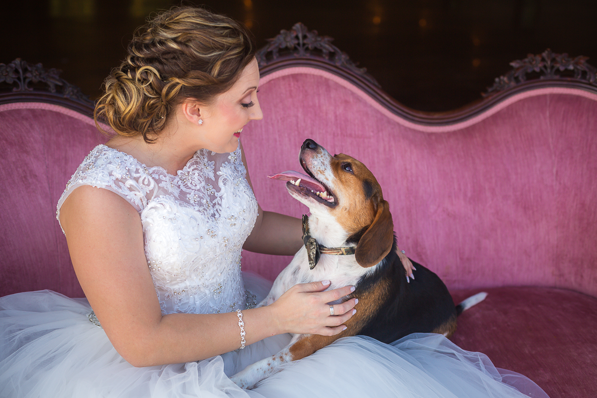 Laze L Farm Photography | Red Cedar Farm | Bridal Portraits | bride and her dog on couch