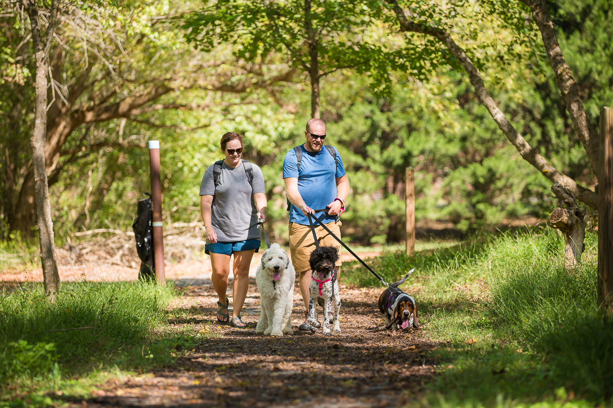 Laze L Farm Photography | Lincolonton, NC | walking dogs in the park