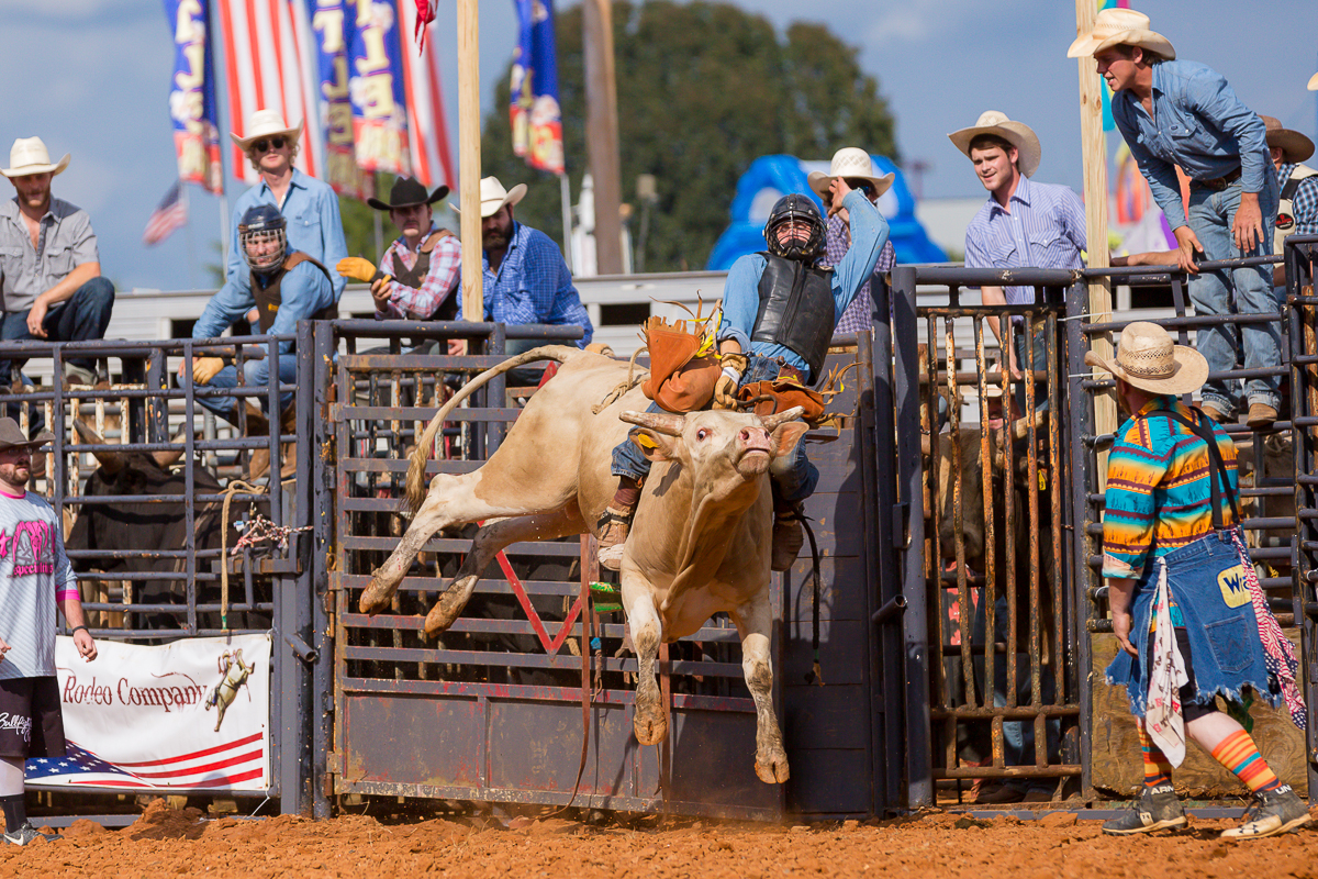 Dixie Classic Fair SRA Rodeo WinstonSalem NC Laze L Farm Photography