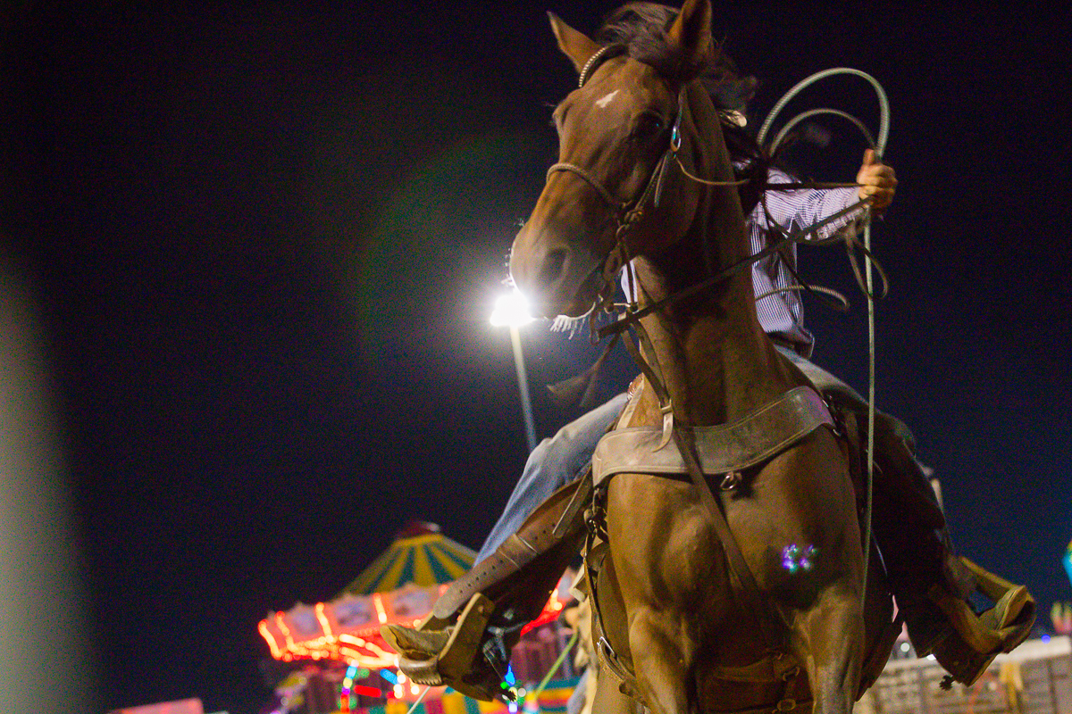 Dixie Classic Fair SRA Rodeo WinstonSalem NC Laze L Farm Photography