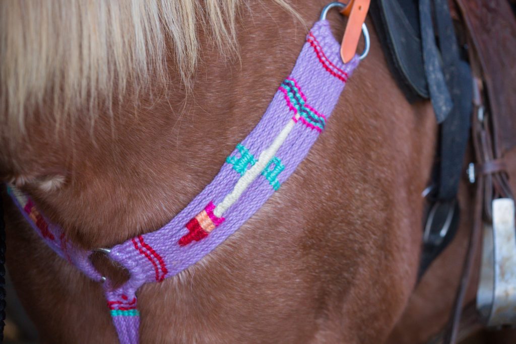 Laze L Farm Photography | Born to Ride | Taylorsville NC | breast collar on horse