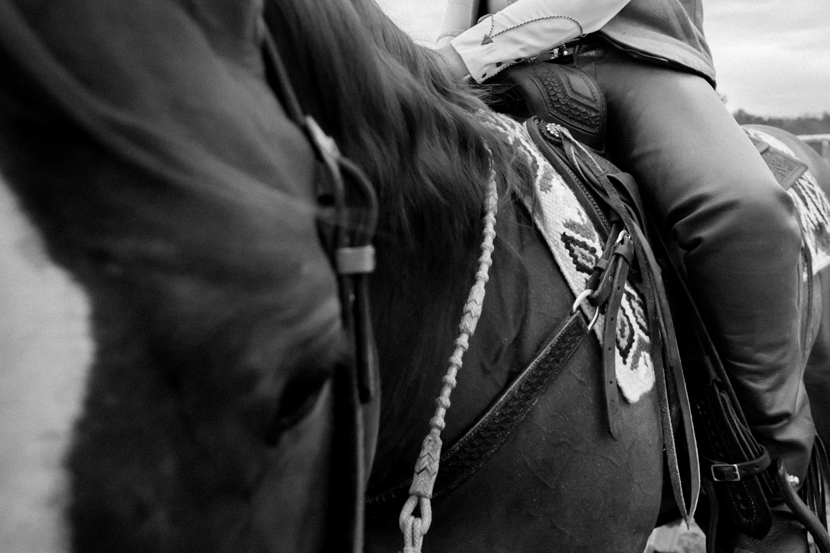 Laze L Farm Photography | AQHA Working Cowhorse | Taylorsville NC | reining horse