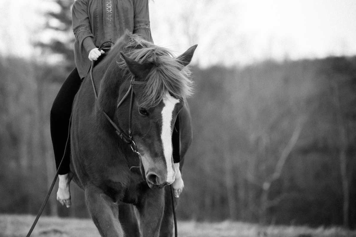 Laze L Farm Photography | Equine Session | Taylorsville NC | a girl riding a horse