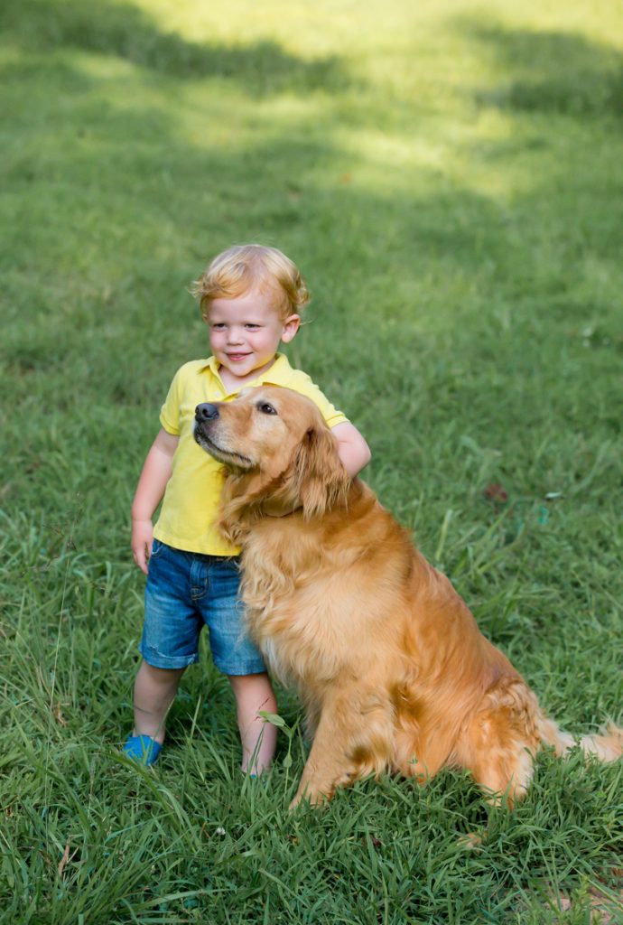 Laze L Farm Photography | Farm Session | Taylorsville North Carolina | a little boy and his dog