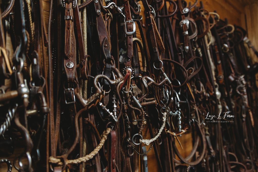 Laze L Farm Photography | Western Lifestyle | Equine Session | Taylorsville NC | bridals in the tack room