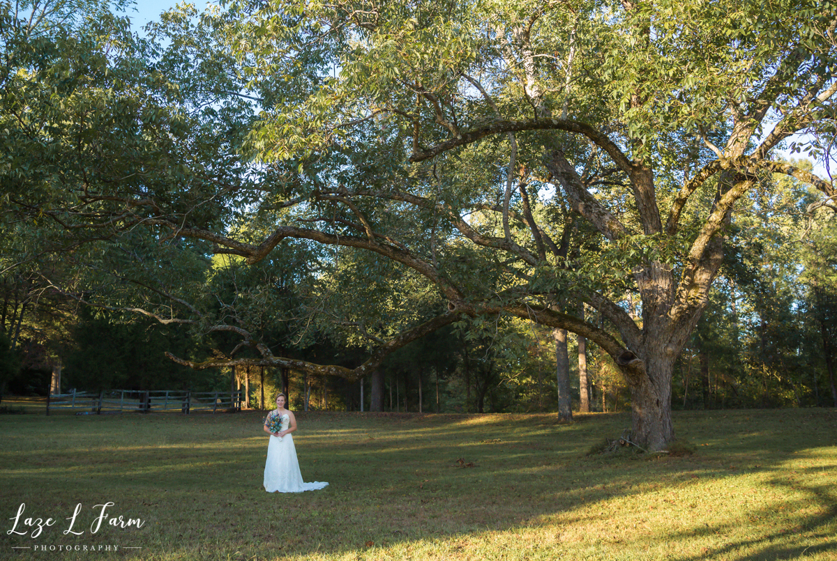 Laze L Farm Photography | Farm Bridals | Catawba NC | Bride Under Big Tree
