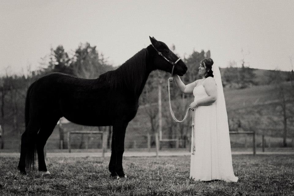 Laze L Farm Photography | Sarah Loudermilk | Bridal Portraits | a bride with a black horse