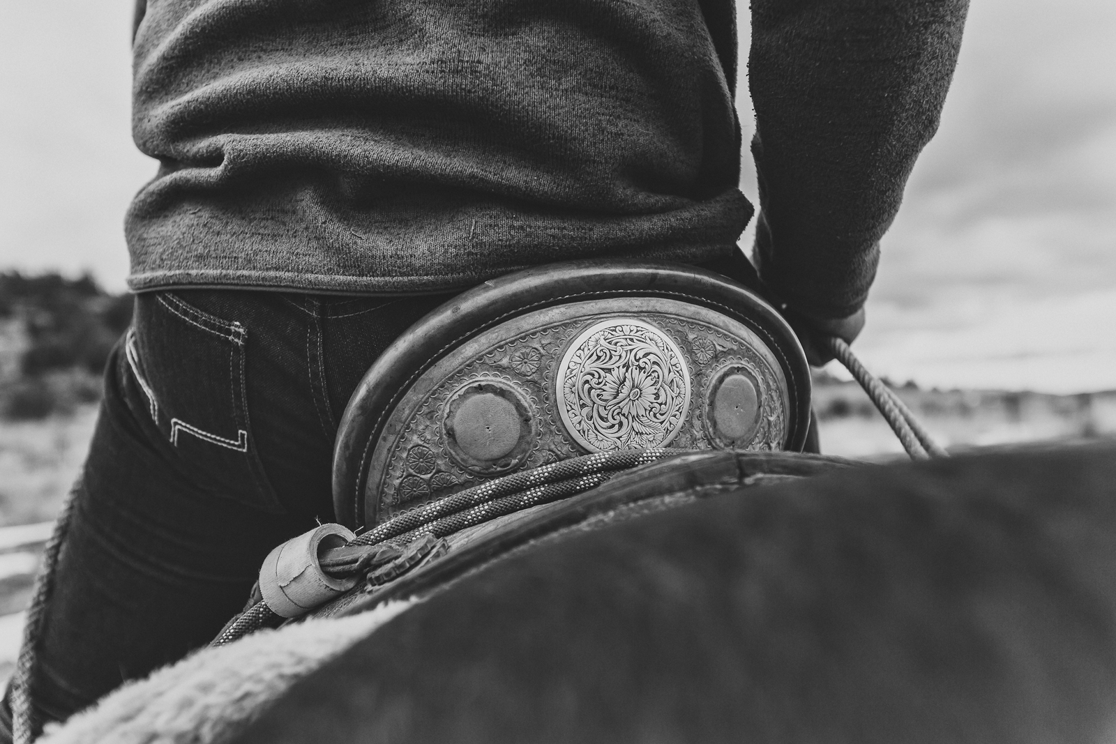 Laze L Farm Photography | CDPhotog Photography Workshop | Burns OR | back of a saddle