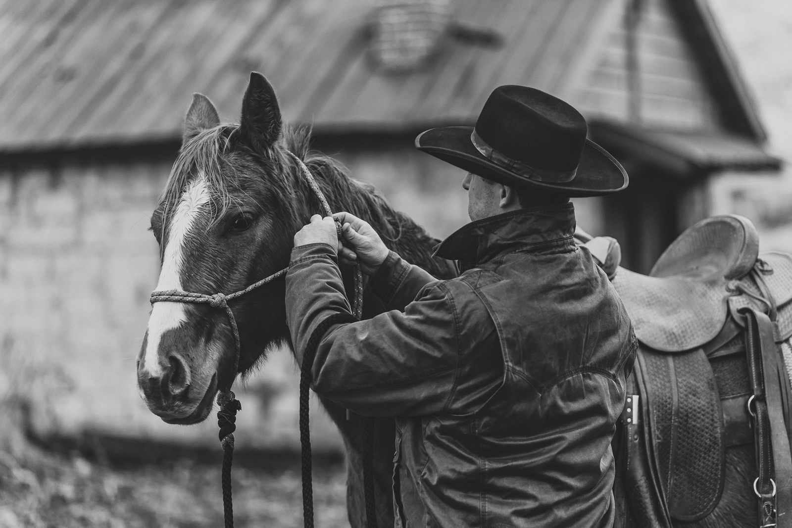 Laze L Farm Photography | CDPhotog Photography Workshop | Burns OR | cowboy bridling horse