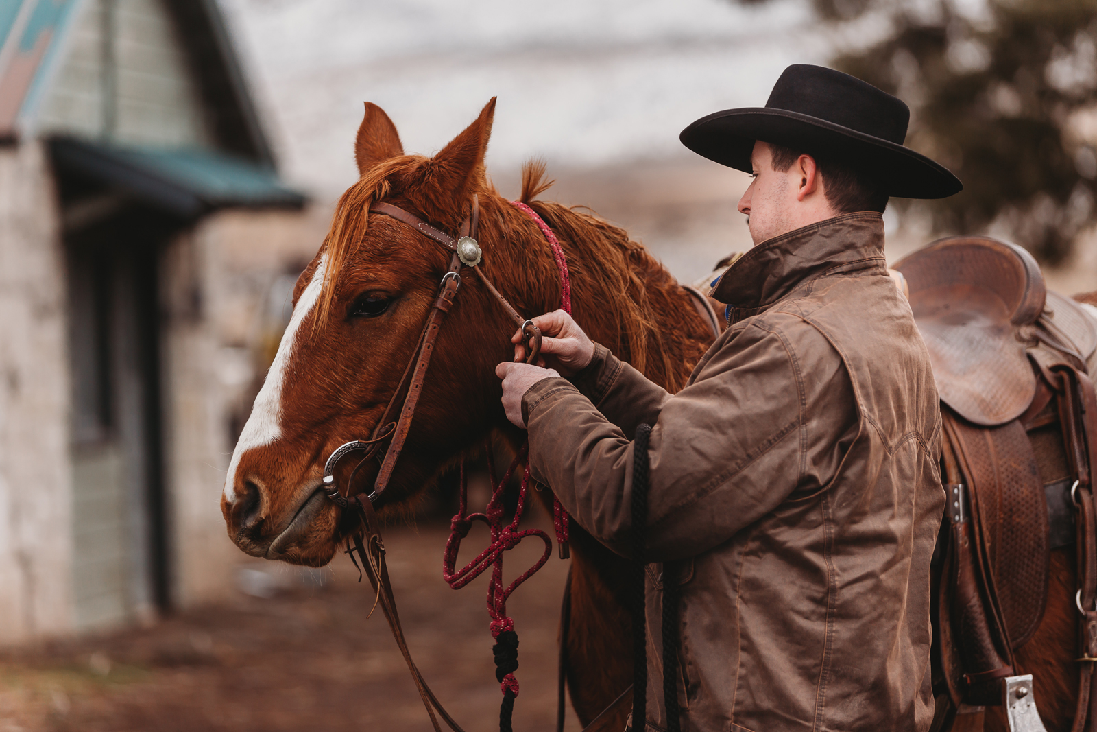 Laze L Farm Photography | CDPhotog Photography Workshop | Burns OR | cowboy bridling his horse