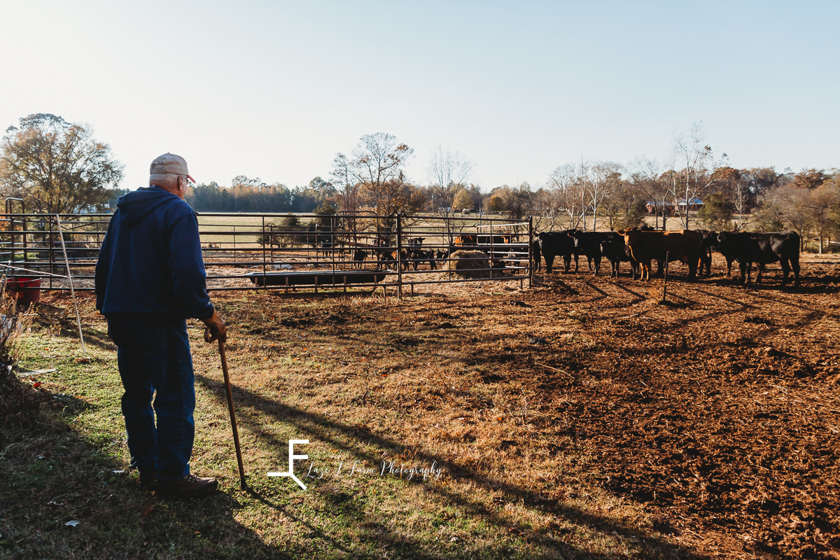 Laze L Farm Photography | Farm Session | Reid Tomlin | Statesville NC | farmer checking his cows