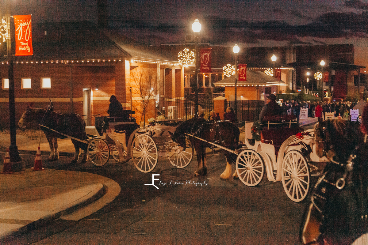 Laze L Farm Photography | Carolina Carriage | Forrest City NC | carriage rides through downtown