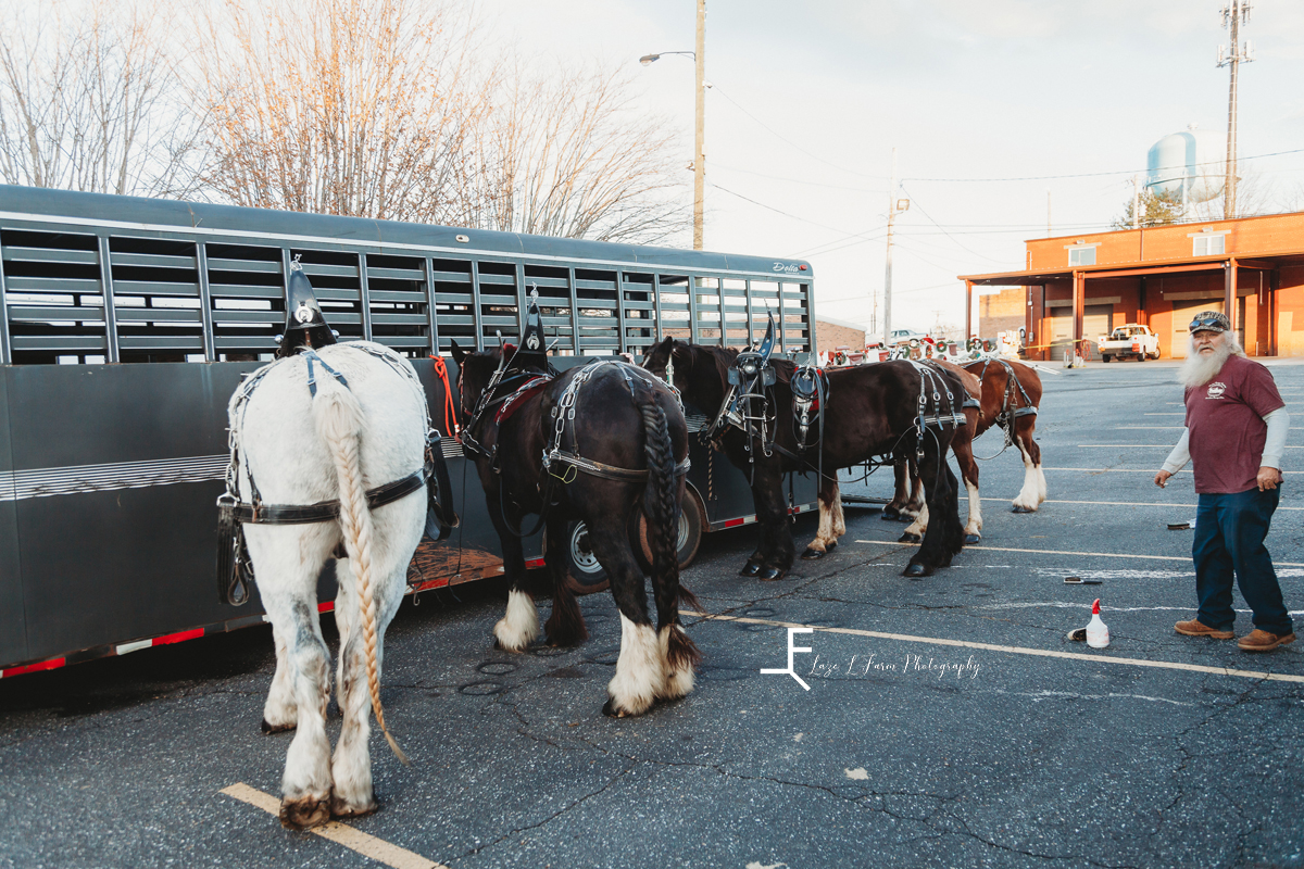 Laze L Farm Photography | Carolina Carriage | Forrest City NC | carriage horses