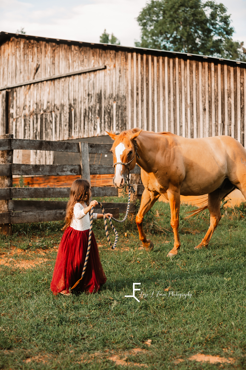Laze L Farm Photography | Equine Photo Shoot | Taylorsville, NC | Walking the horse