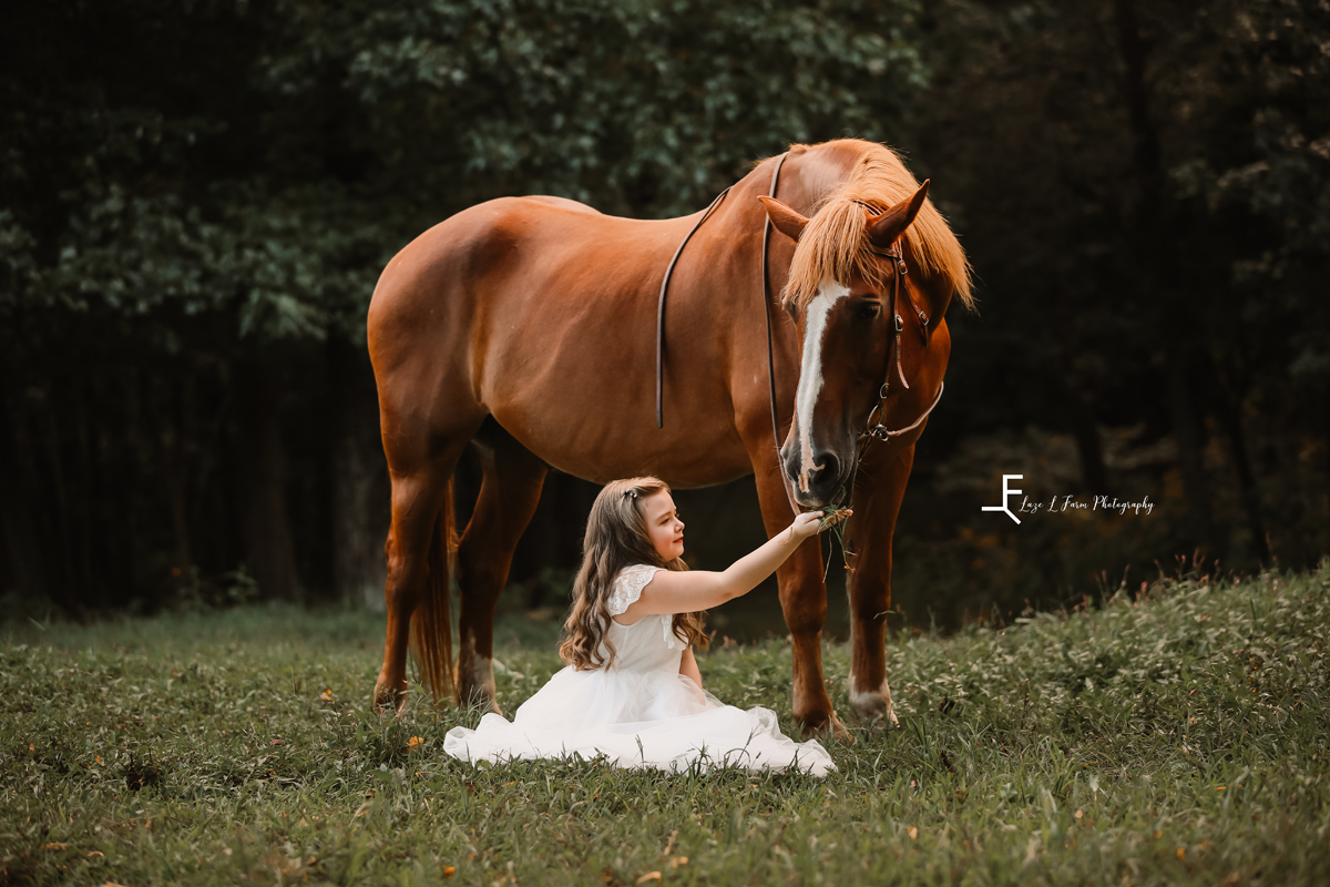Laze L Farm Photography | Equine Photography | Taylorsville NC | Sitting with the horse