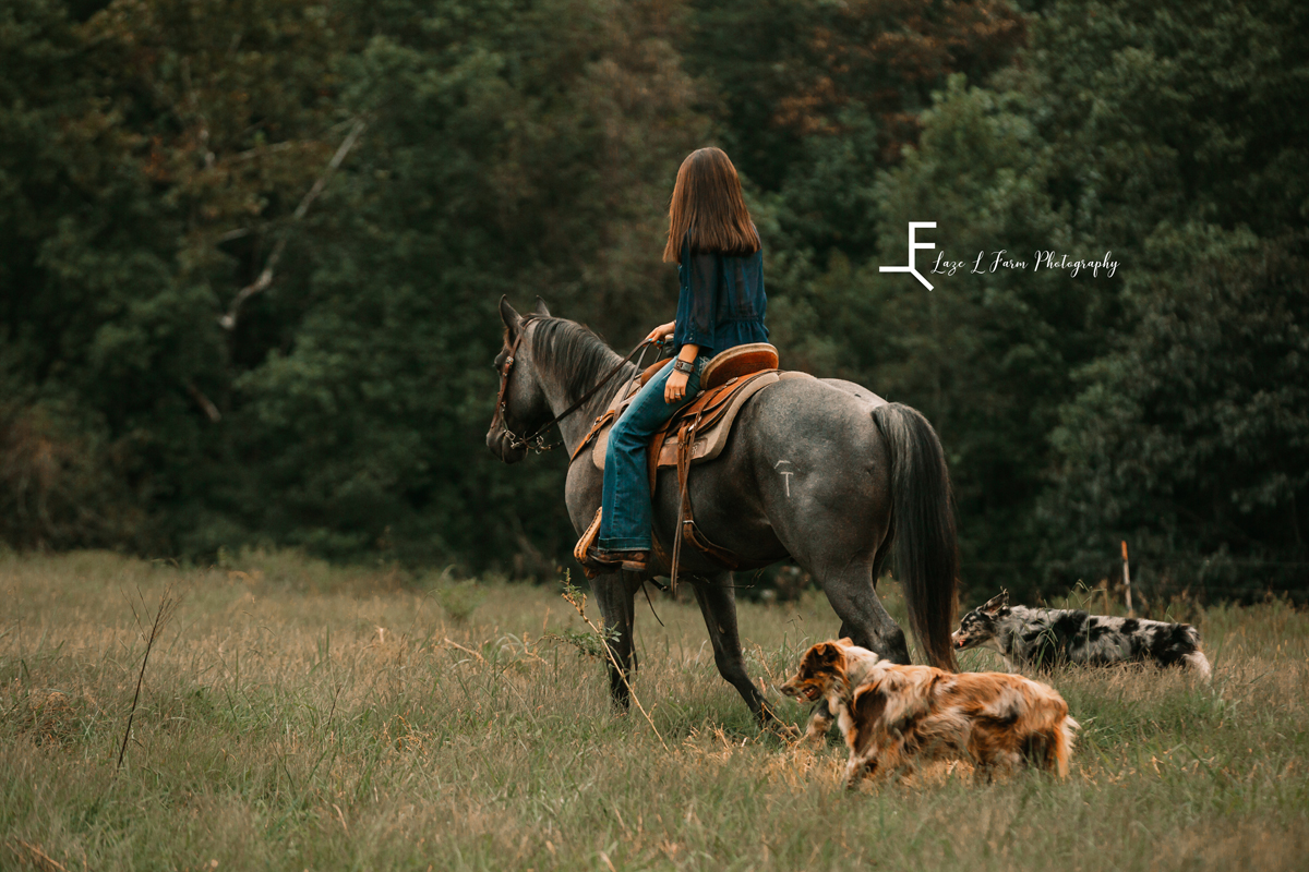  Laze L Farm Photography | Equine Photography | Taylorsville NC | Danielle riding away with the dogs running