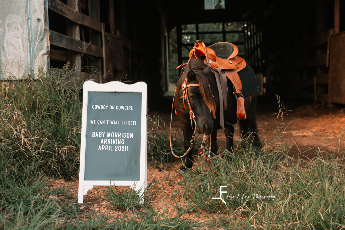 Laze L Farm Photography | Farm Session | Taylorsville NC | Mini next to the sign