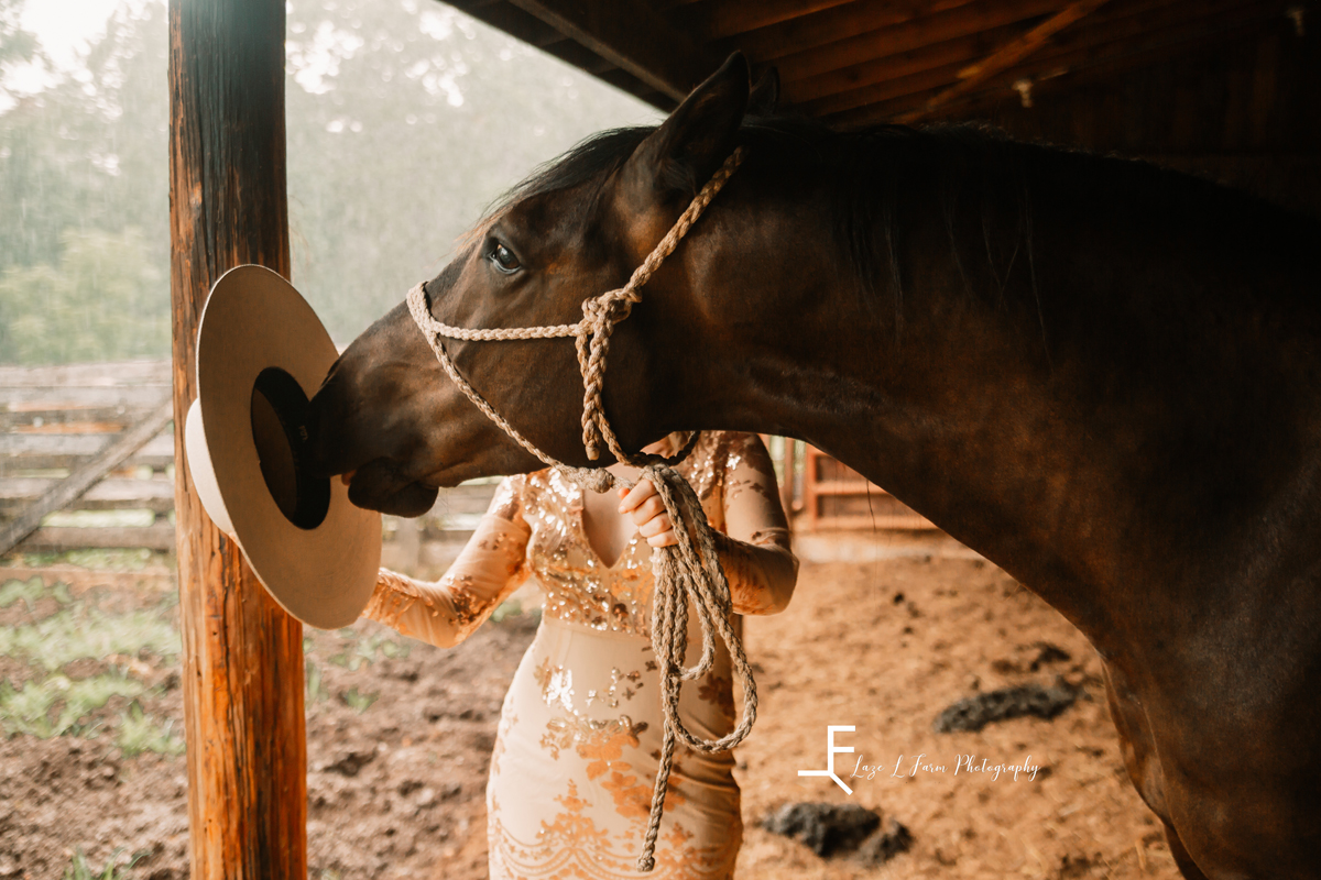 Laze L Farm Photography | Western Lifestyle | Taylorsville NC | Horse sniffing the hat