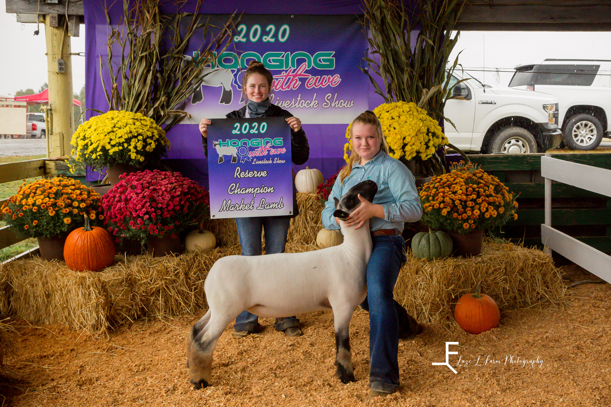 Laze L Farm Photography | Livestock Show | Lenoir NC | posing the sheep against backdrop