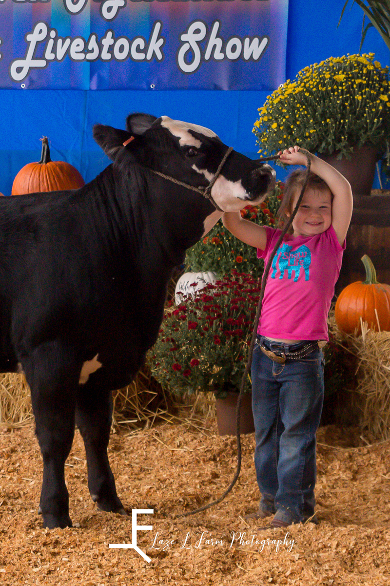 Laze L Farm Photography | Livestock Show | Lenoir NC | little girl posing her cow