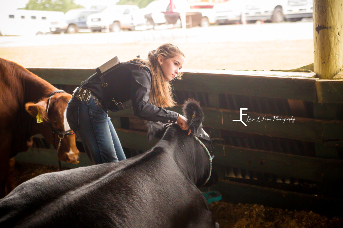 Laze L Farm Photography | Livestock Show | Lenoir NC | girl with her cow