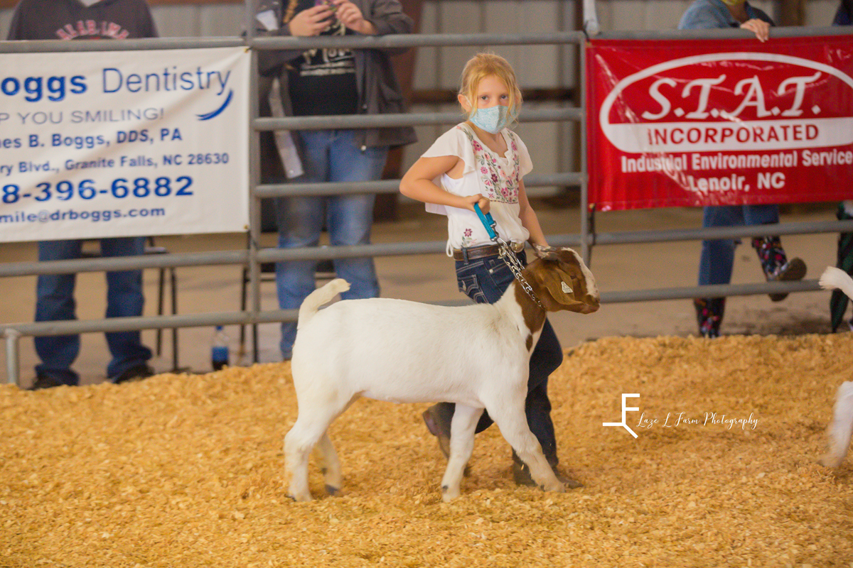 Laze L Farm Photography | Livestock Show | Lenoir NC | walking a sheep