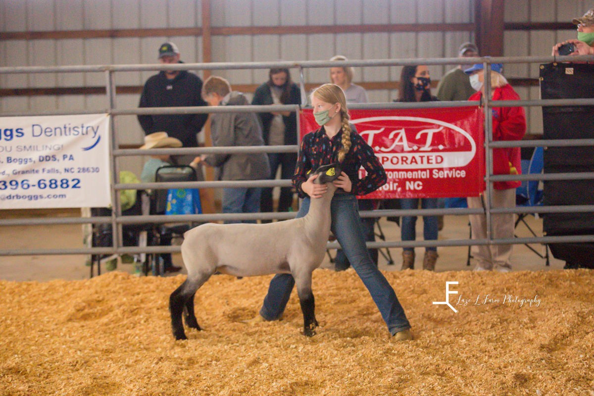 Laze L Farm Photography | Livestock Show | Lenoir NC | posing sheep in the arena