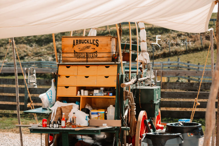 Black Lick Cattle Company Rural Retreat Va Laze L Farm Photography