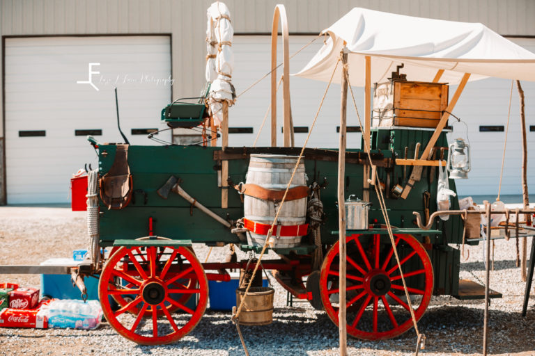 Black Lick Cattle Company Rural Retreat Va Laze L Farm Photography