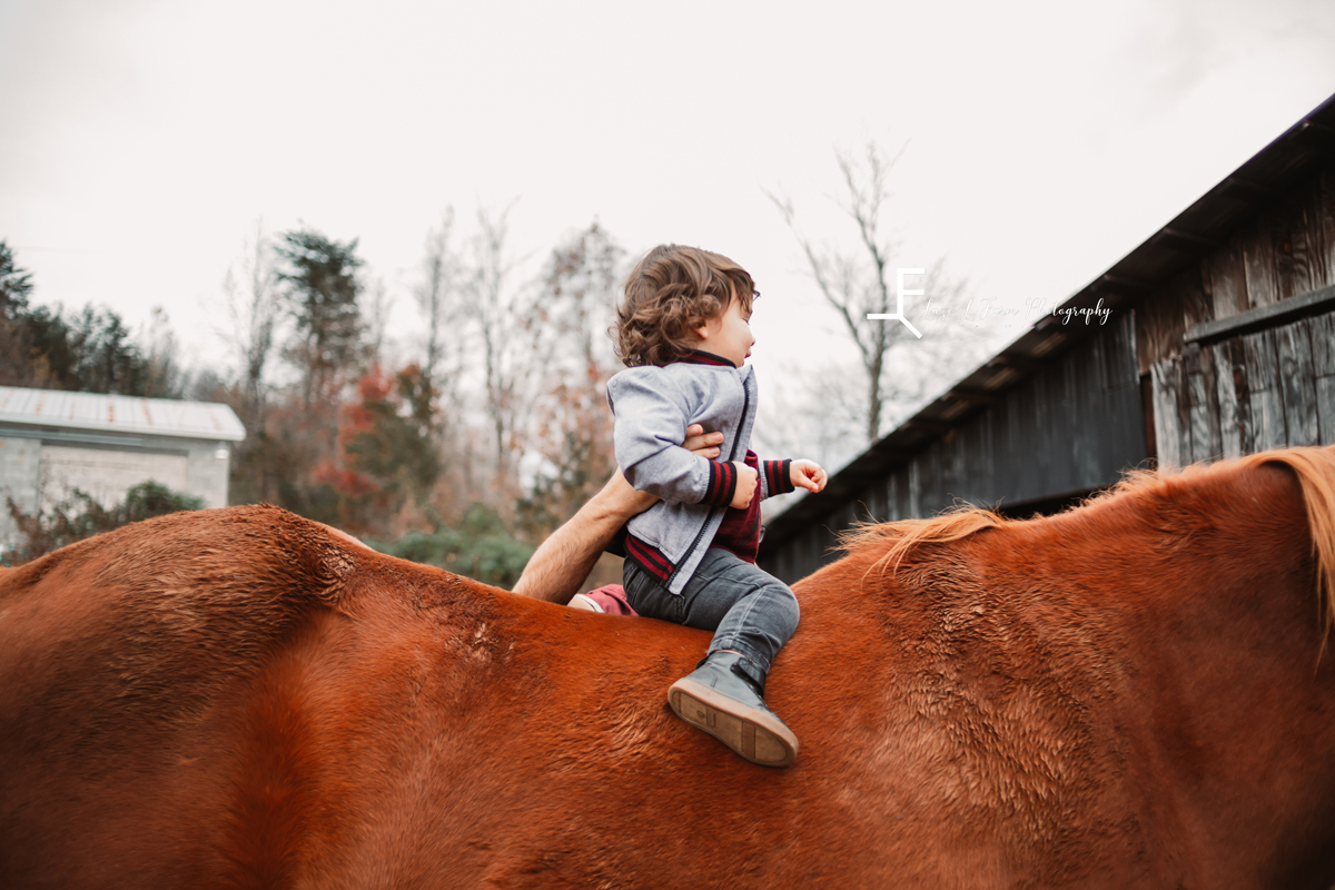 Laze L Farm Photography | Farm Session | Taylorsville NC | close up of elias riding horse