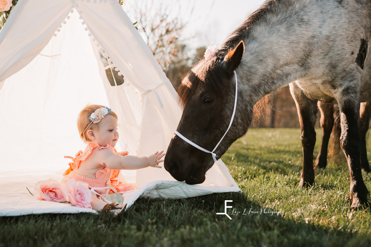 Laze L Farm Photography | Little Cowgirl | Taylorsville NC | baby petting pony