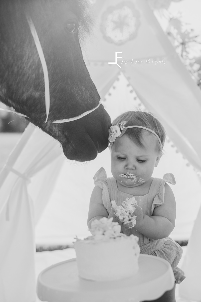 Laze L Farm Photography | Little Cowgirl | Taylorsville NC | black and white of pony smelling baby