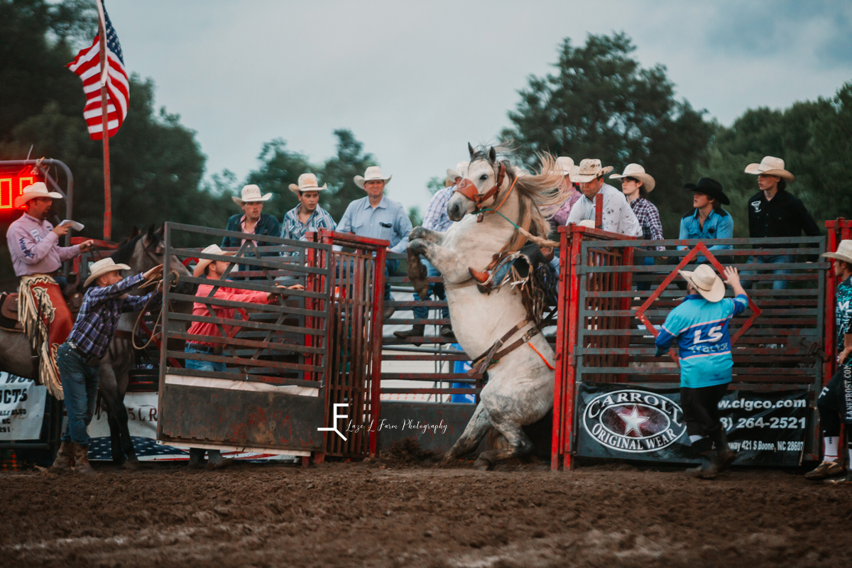 Horse rearing in the shoot