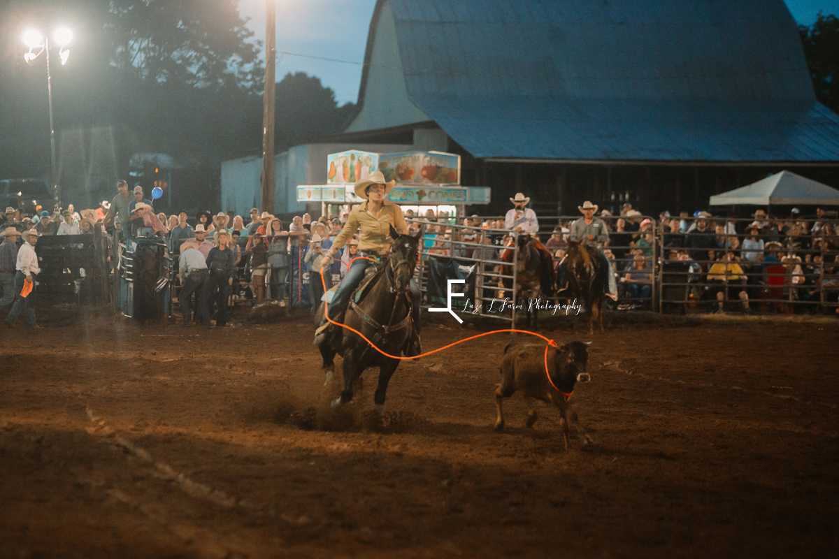 breakaway roping with cowgirl's rope on cow