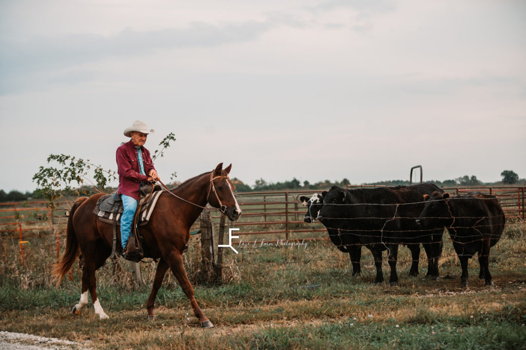 older cowboy checking cows on horseback