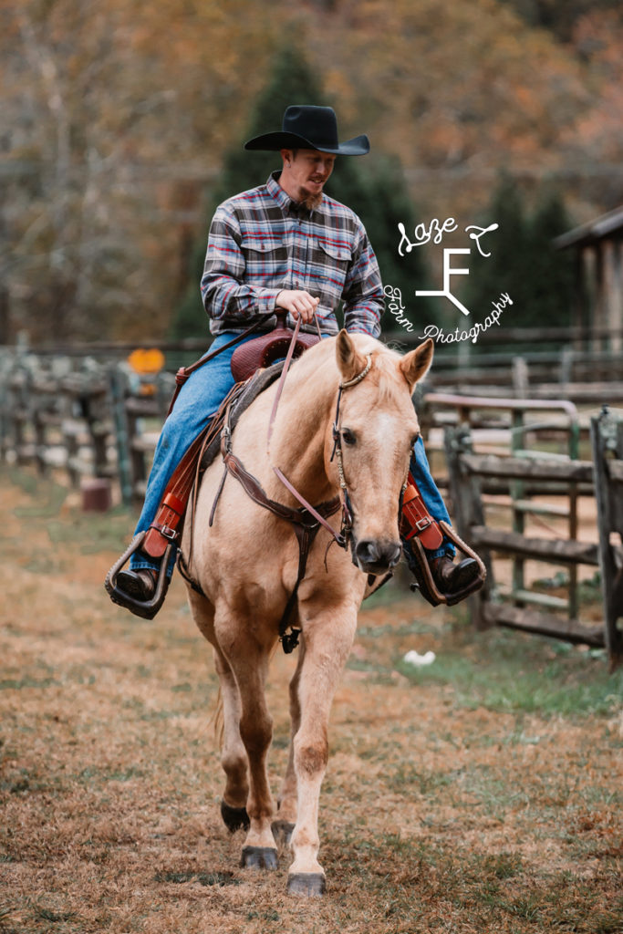 cowboy on palomino