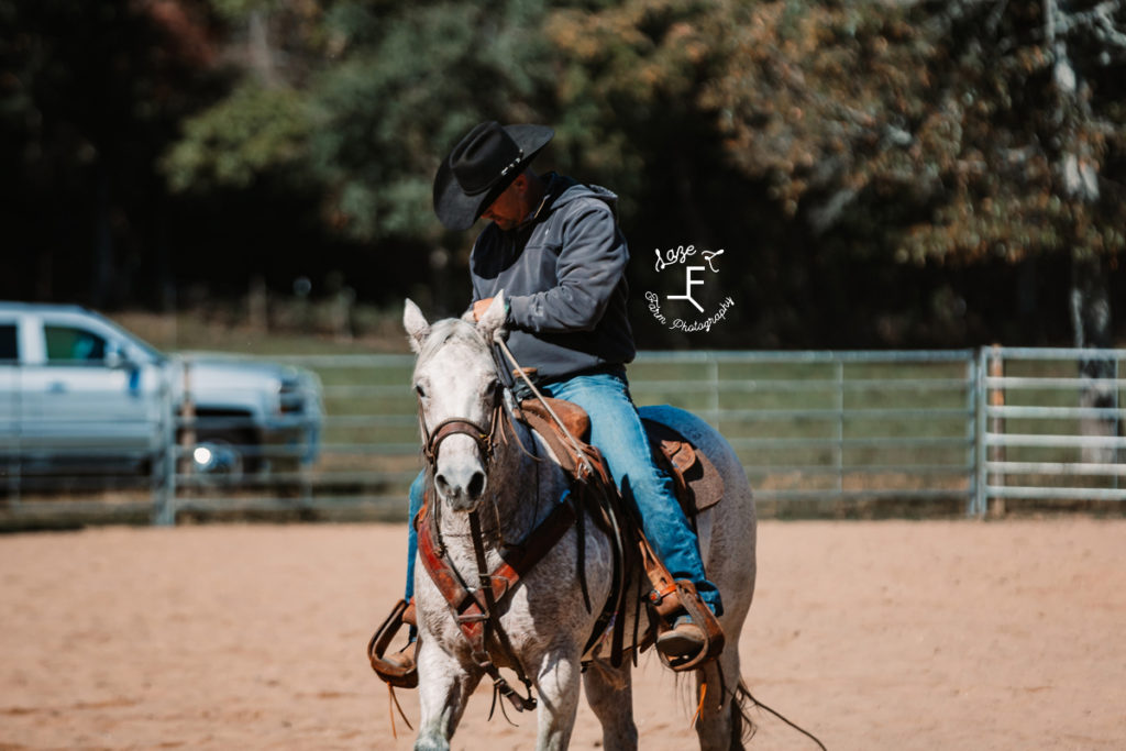 cowboy on grey horse