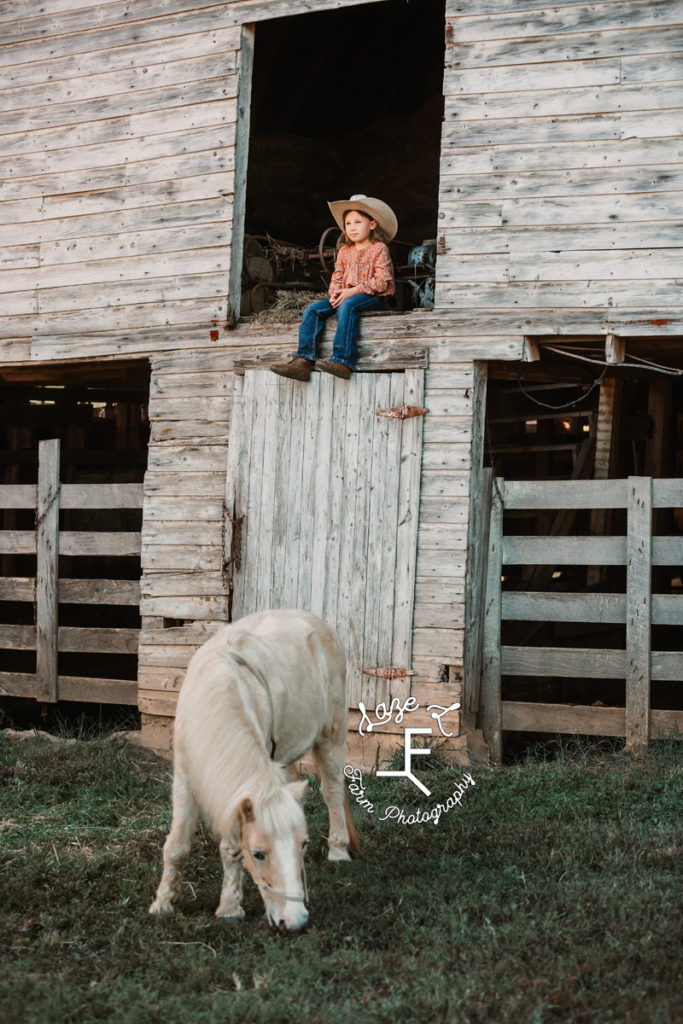 little cowgirl in barn loft with pony below