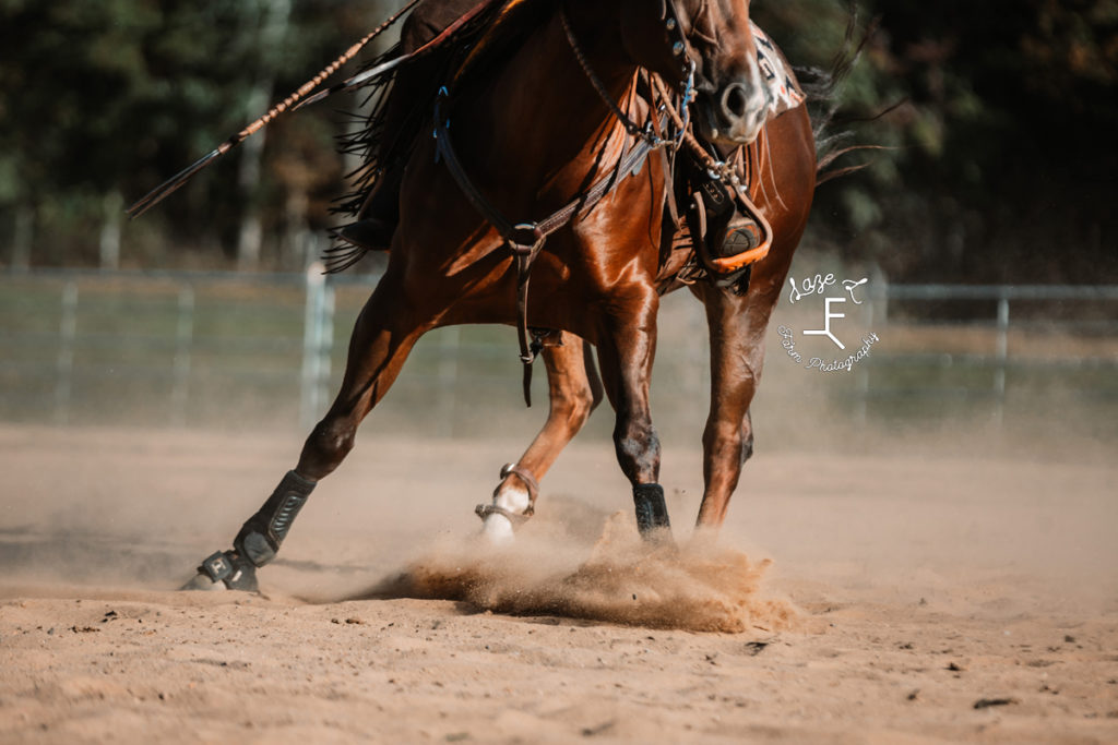 reining spin just horse