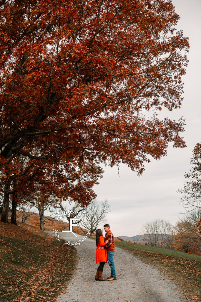 couple standing together under giant orange tree
